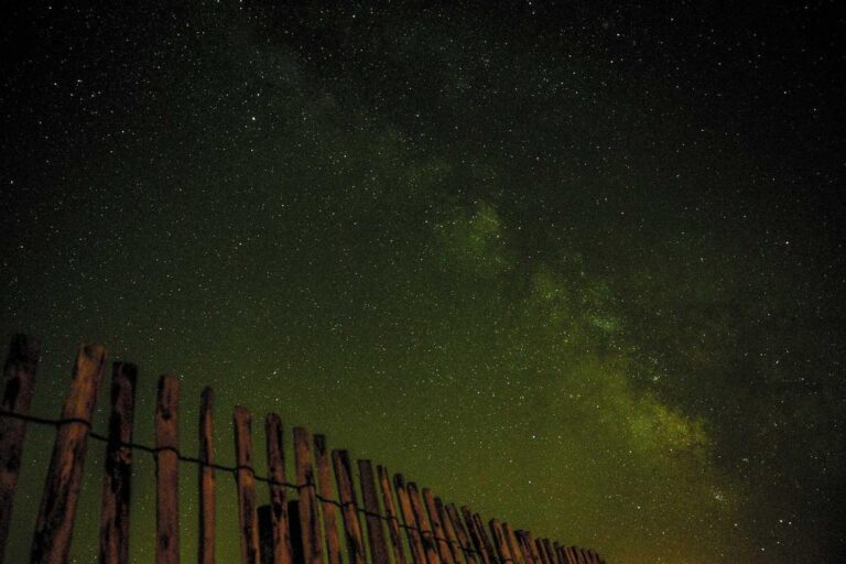 Picsum ID: 120
